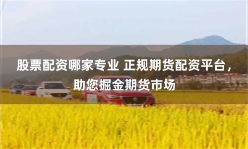 股票配资哪家专业 正规期货配资平台，助您掘金期货市场