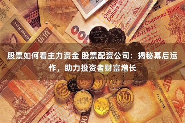 股票如何看主力资金 股票配资公司:揭秘幕后运作,助力投资者财富增长