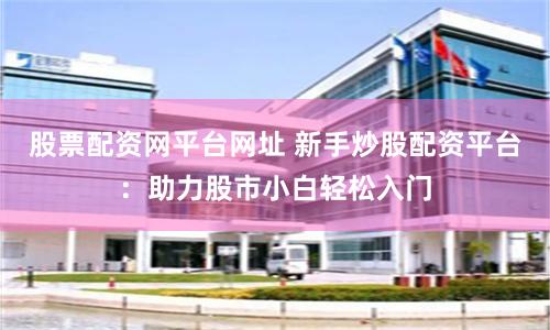 股票配资网平台网址 新手炒股配资平台:助力股市小白轻松入门